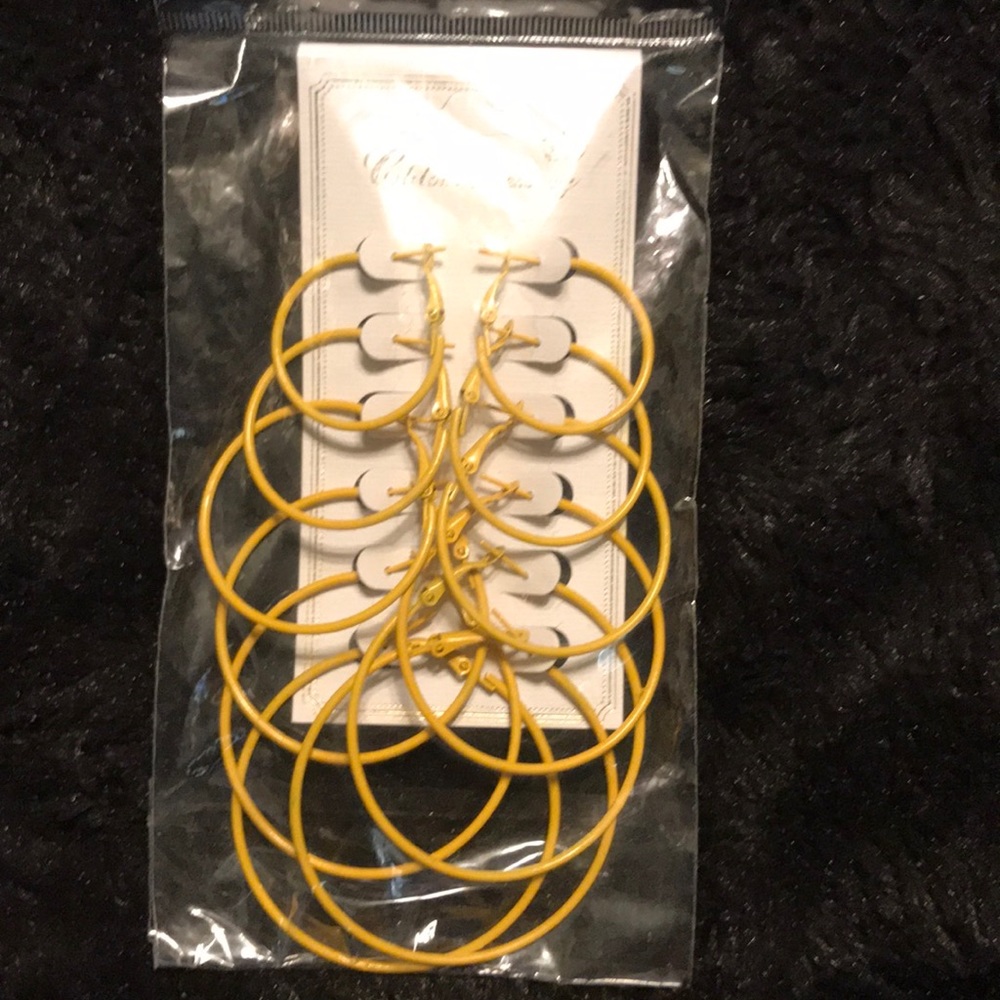 Chloe Accessory fashion jewelry earring set